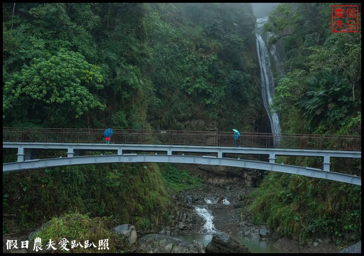 不只日月潭！南投６大美拍祕境：全台唯一迴旋瀑布、最長吊橋、宛如置身日本