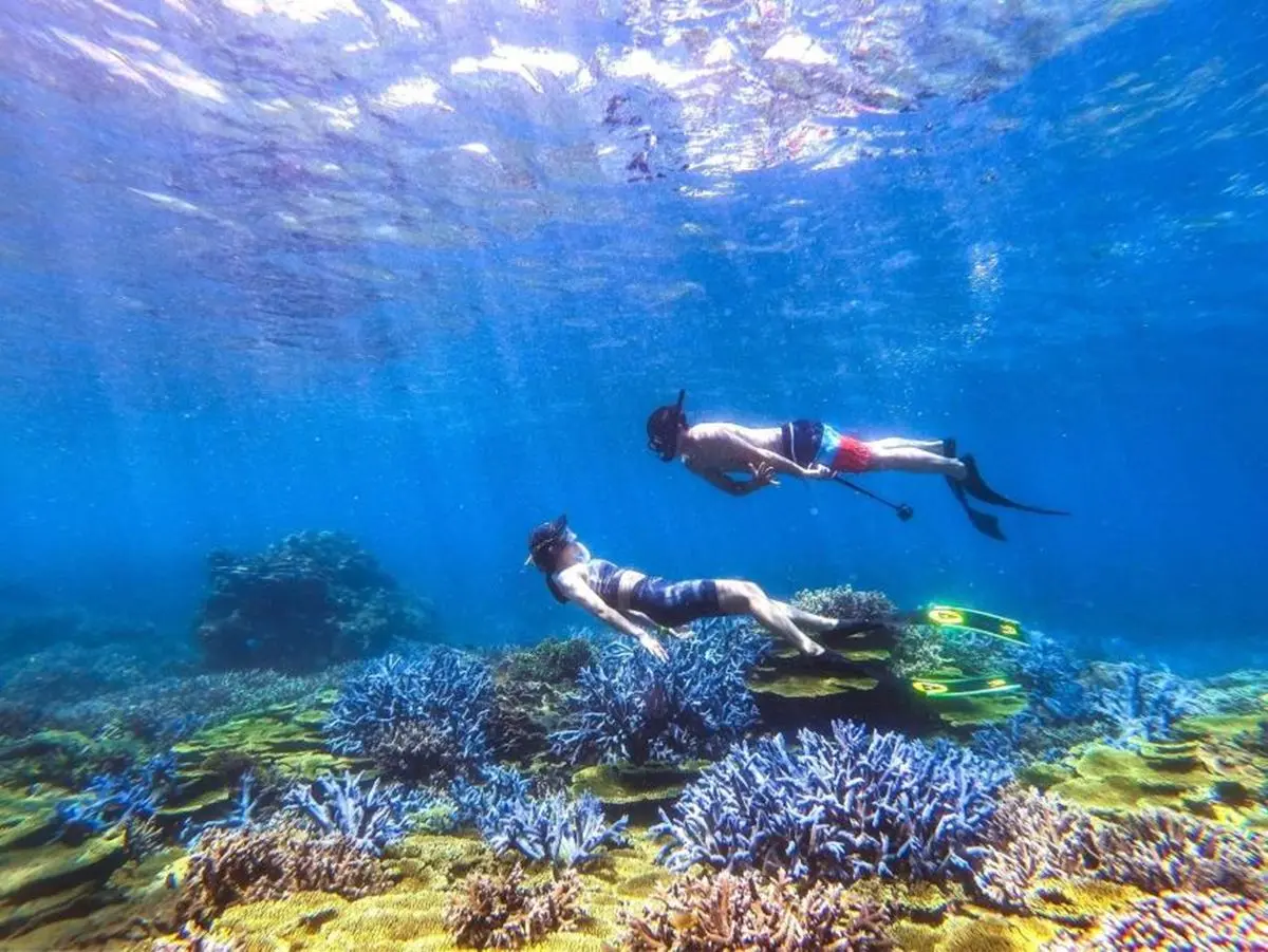 快設鬧鐘搶訂！「１元」衝離島夜宿水族館、忘憂島浮潛，４人揪團享最低５折