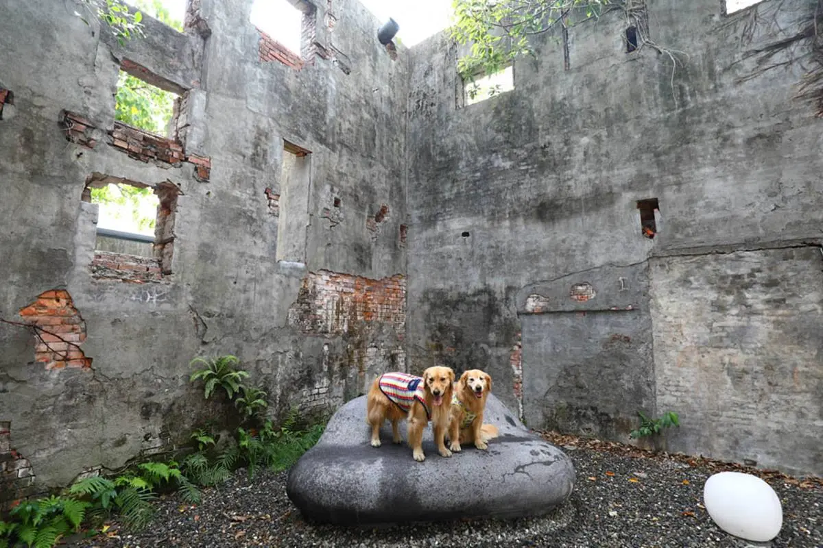 鬼月衝打卡！全台６處廢墟風景點：全台鬼屋之首、百年舊糖廠、台版天空之城