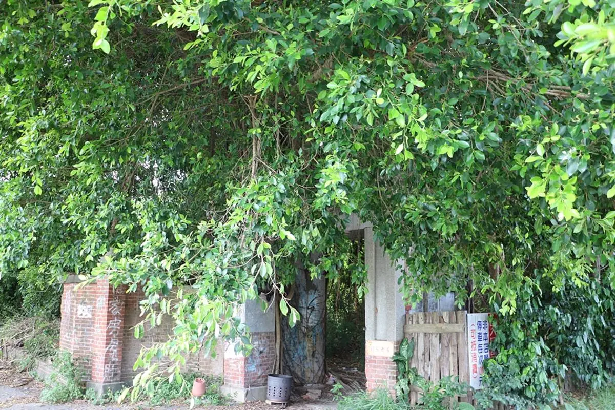 鬼月衝打卡！全台６處廢墟風景點：全台鬼屋之首、百年舊糖廠、台版天空之城
