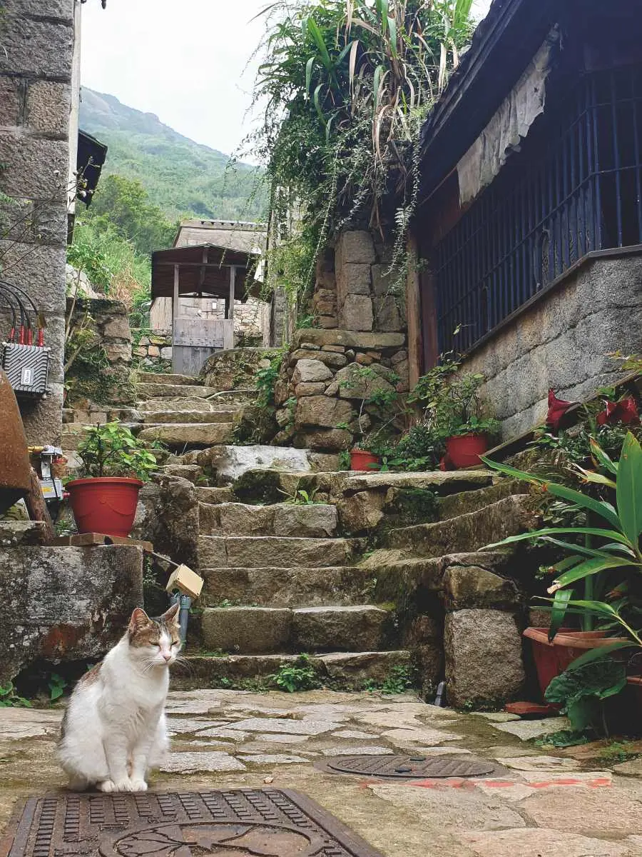 馬祖不只藍眼淚!2天1夜玩3島:住蒙古包、梅花鹿天堂、打卡台版聖托里尼 馬祖不只藍眼淚!2天1夜玩3島:住蒙古包、梅花鹿天堂、打卡台版聖托里尼