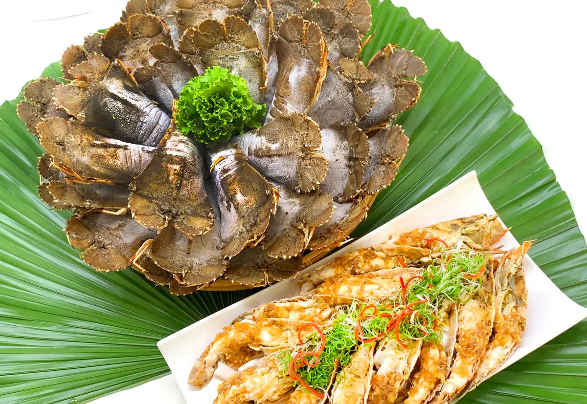 斯里蘭卡「蟬龍蝦吃到飽」！桃園「港點百匯」加價無限吃，再嗑40道經典粵菜