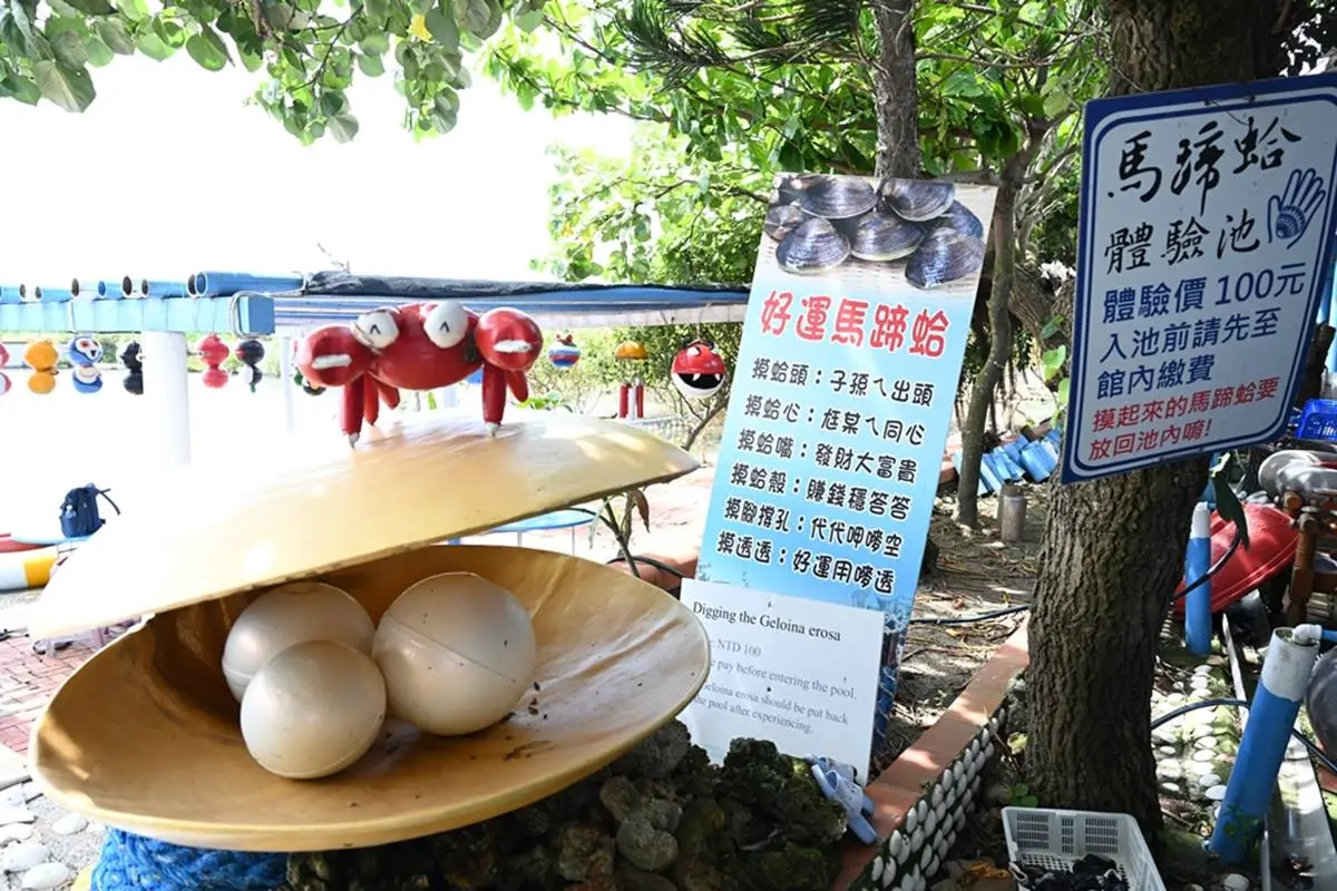 100元玩整天!「全台最大蜆主題館」嘗手掌大蛤仔,體驗水中盪鞦韆、划膠筏 100元玩整天!「全台最大蜆主題館」嘗手掌大蛤仔,體驗水中盪鞦韆、划膠筏