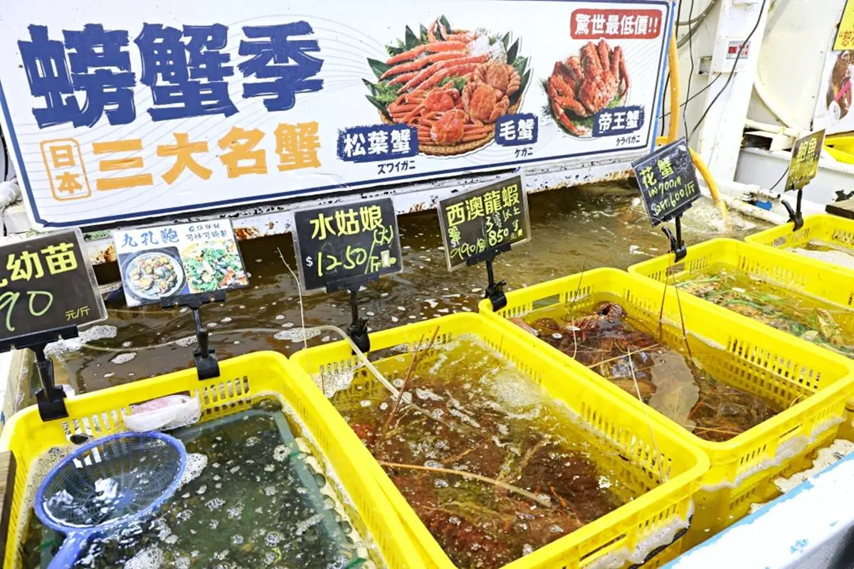 網推台中築地市場!直送「生食生蠔、龍蝦」近百種海鮮,內行直接帶水桶裝 網推台中築地市場!直送「生食生蠔、龍蝦」近百種海鮮,內行直接帶水桶裝