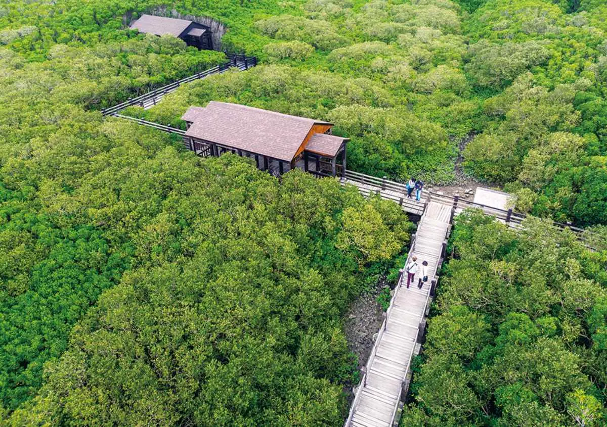 芬多精吸滿!全台5處避暑森林系景點:龍貓隧道、夢幻藍湖水、小太魯閣祕境 芬多精吸滿!全台5處避暑森林系景點:龍貓隧道、夢幻藍湖水、小太魯閣祕境