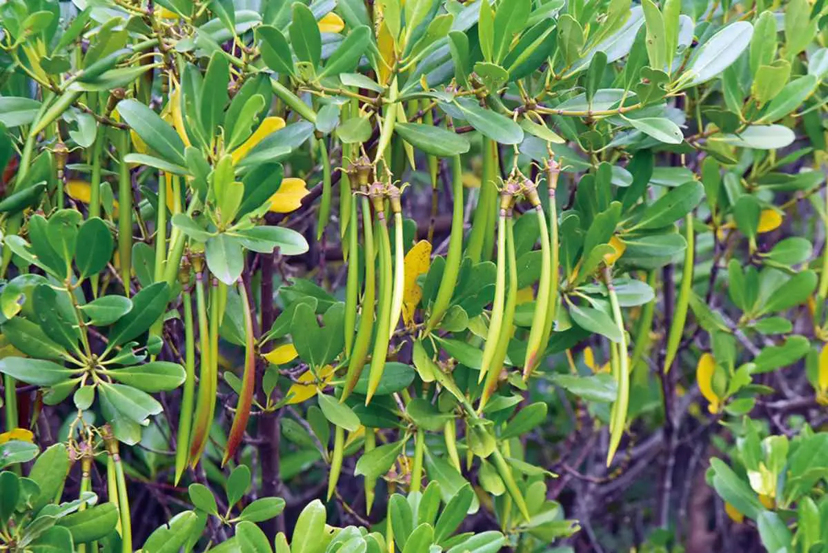 芬多精吸滿!全台5處避暑森林系景點:龍貓隧道、夢幻藍湖水、小太魯閣祕境 芬多精吸滿!全台5處避暑森林系景點:龍貓隧道、夢幻藍湖水、小太魯閣祕境