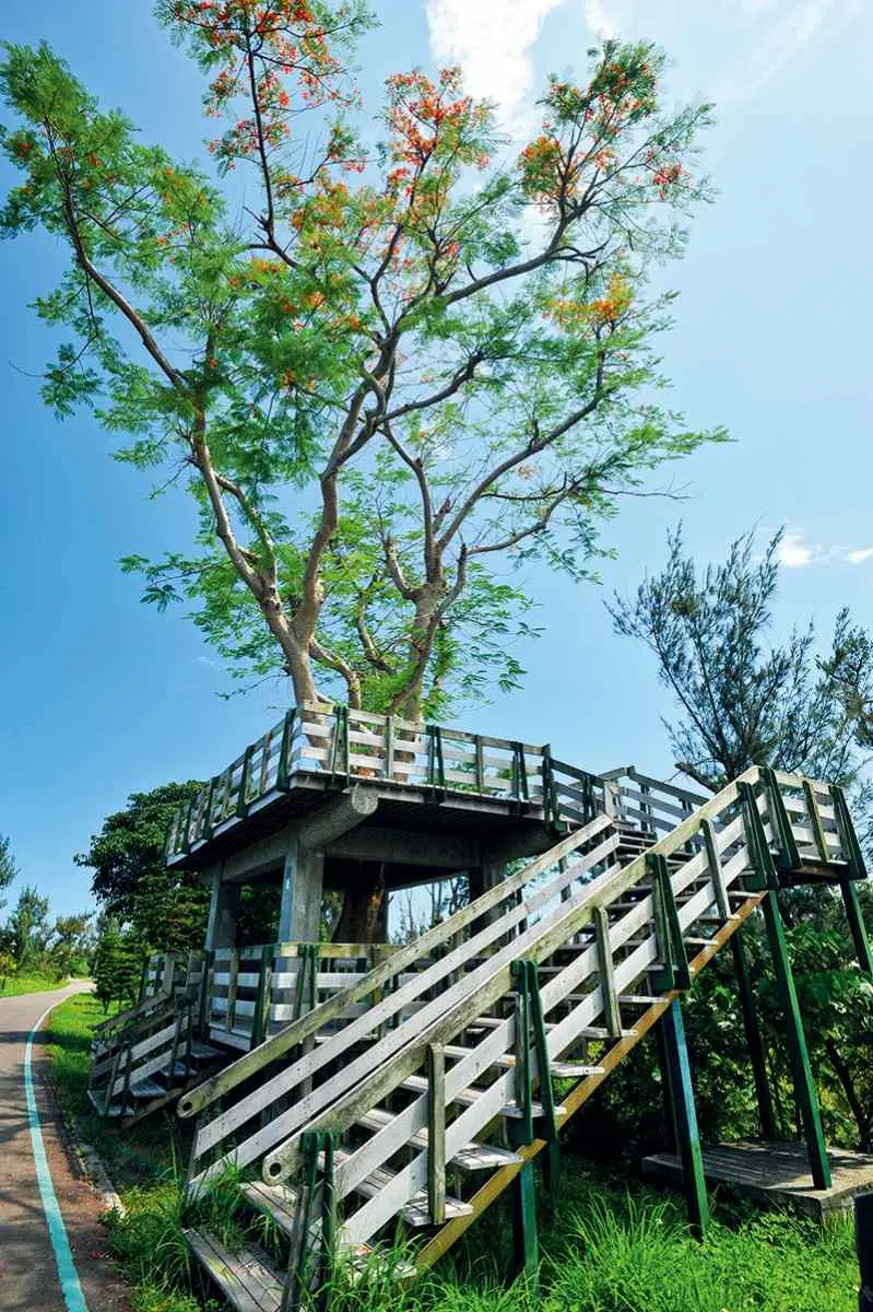 芬多精吸滿!全台5處避暑森林系景點:龍貓隧道、夢幻藍湖水、小太魯閣祕境 芬多精吸滿!全台5處避暑森林系景點:龍貓隧道、夢幻藍湖水、小太魯閣祕境