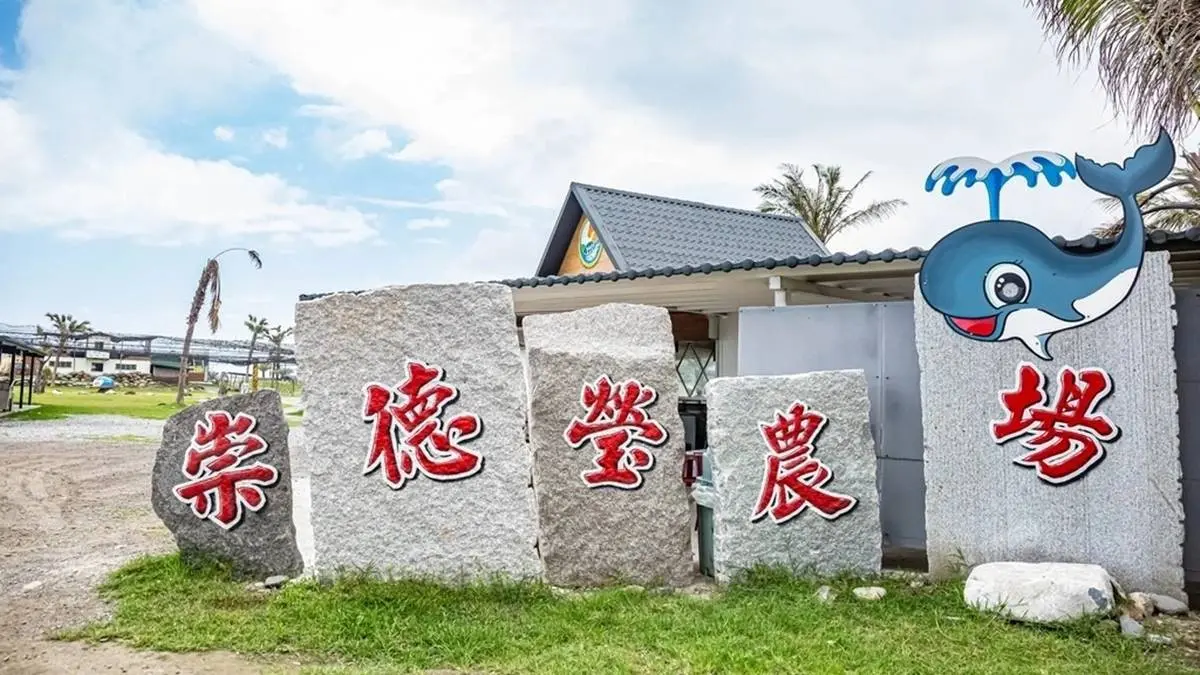 100元爽玩「台版紐西蘭」！體驗餵羊駝、划獨木舟，吃原民餐搭絕美海景好Chill