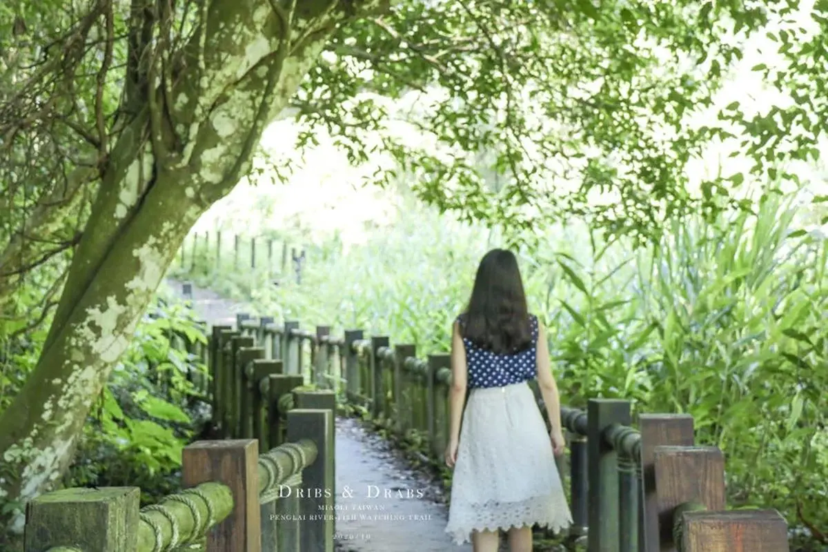 別只會逛老街!苗栗南庄5祕境景點:綠寶石溪流步道、苗栗小百岳、夢幻樹屋 別只會逛老街!苗栗南庄5祕境景點:綠寶石溪流步道、苗栗小百岳、夢幻樹屋