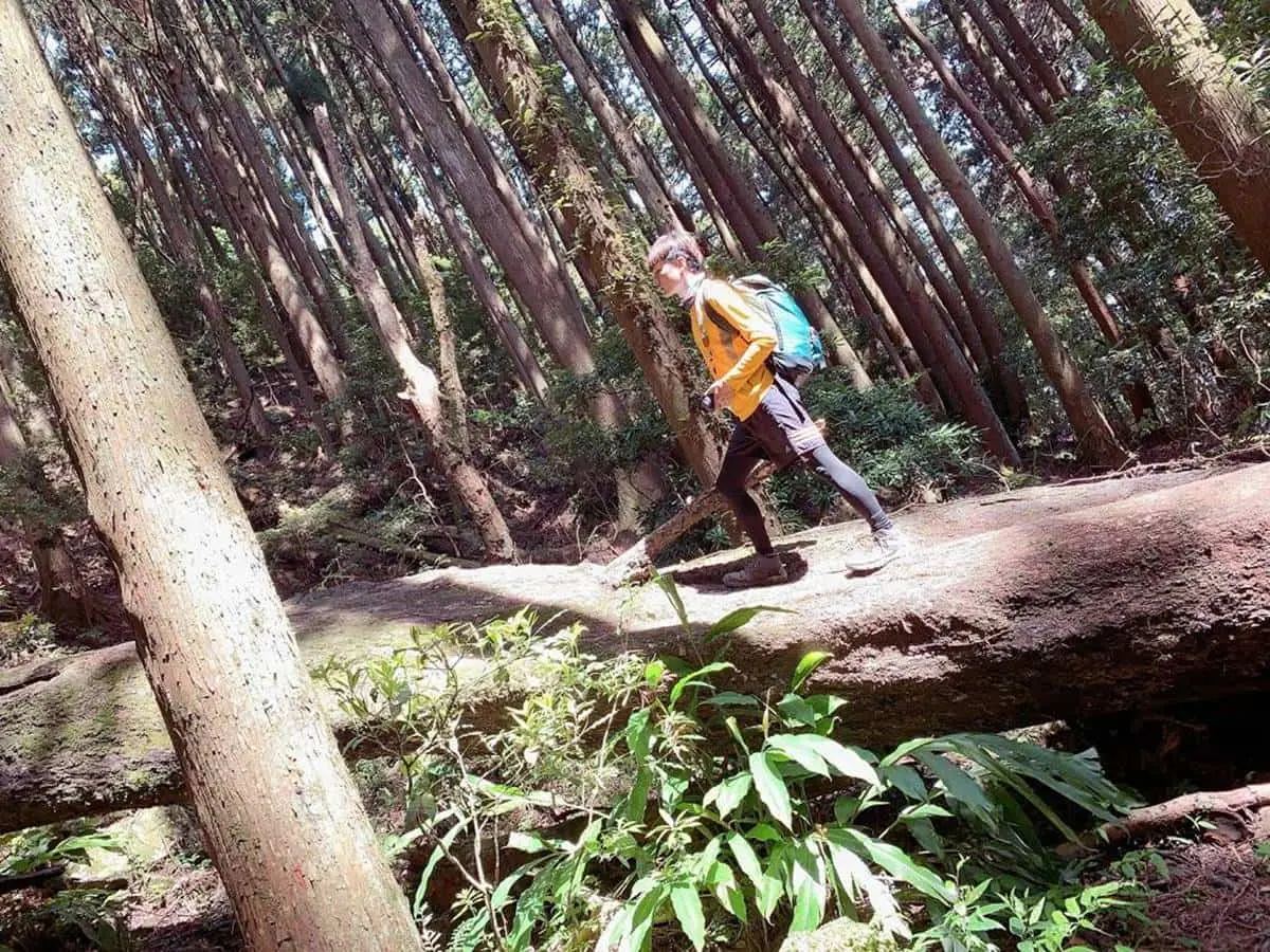 別只會逛老街!苗栗南庄5祕境景點:綠寶石溪流步道、苗栗小百岳、夢幻樹屋 別只會逛老街!苗栗南庄5祕境景點:綠寶石溪流步道、苗栗小百岳、夢幻樹屋