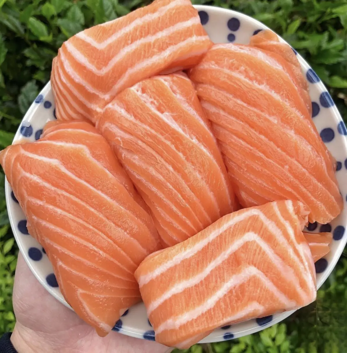 紅遍中日韓！台北「排隊日料」先搶巨無霸鮭魚握壽司，免費味噌湯＋蔥花任加
