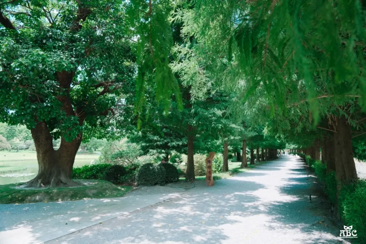 仙氣爆棚!「台版兼六園」推浪漫紫薇花季,IG搶拍歐風花園、繽紛漂浮傘街 仙氣爆棚!「台版兼六園」推浪漫紫薇花季,IG搶拍歐風花園、繽紛漂浮傘街