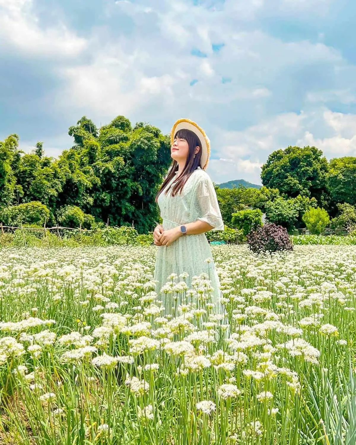 仙氣爆棚「九月雪」來了！「2022桃園韭菜花節」登場，絕美雪白花海洗版IG