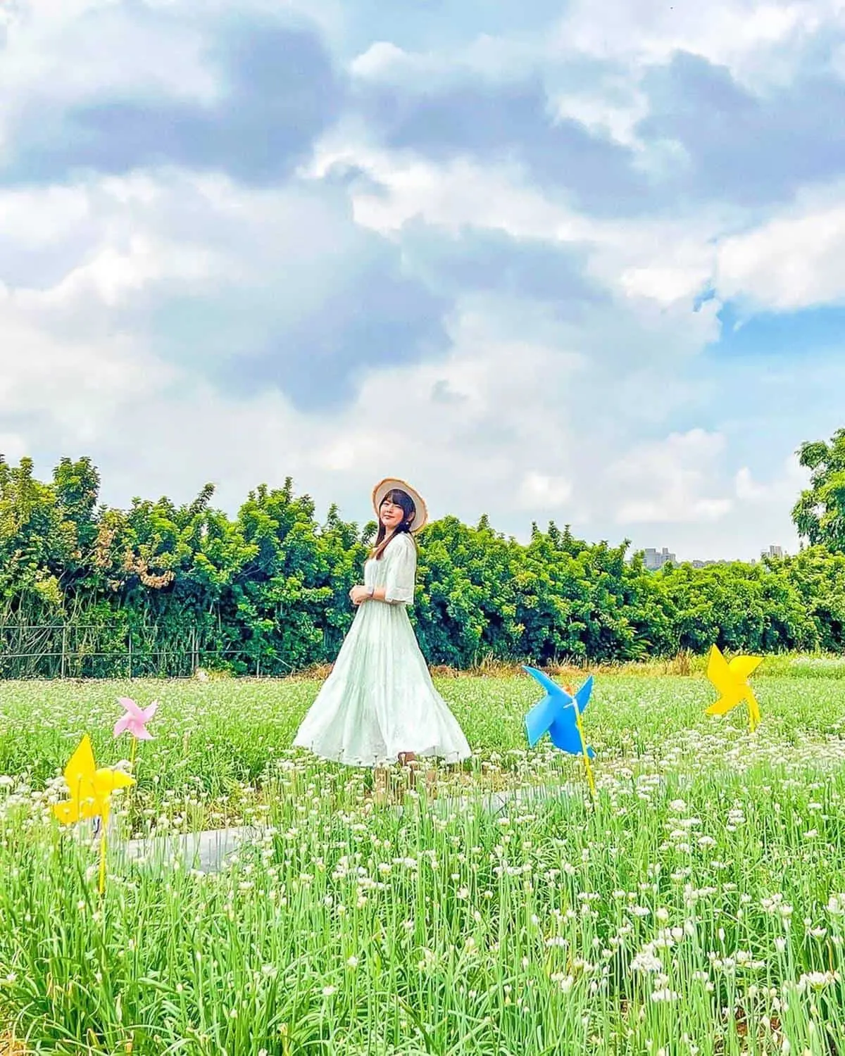 仙氣爆棚「九月雪」來了!「2022桃園韭菜花節」登場,絕美雪白花海洗版IG 仙氣爆棚「九月雪」來了!「2022桃園韭菜花節」登場,絕美雪白花海洗版IG