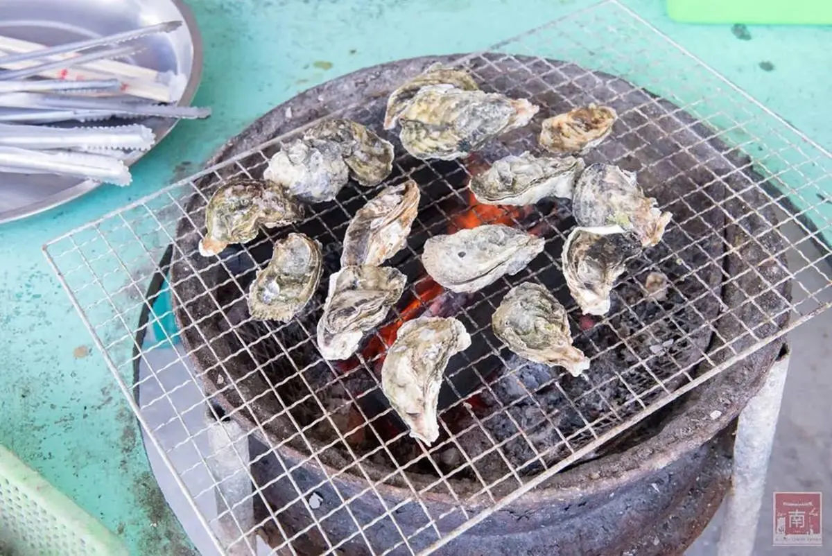 CP值破表！「搭船遊湖＋烤蚵吃到飽」只要250元，還能打卡養蚵棚架、沙洲祕境