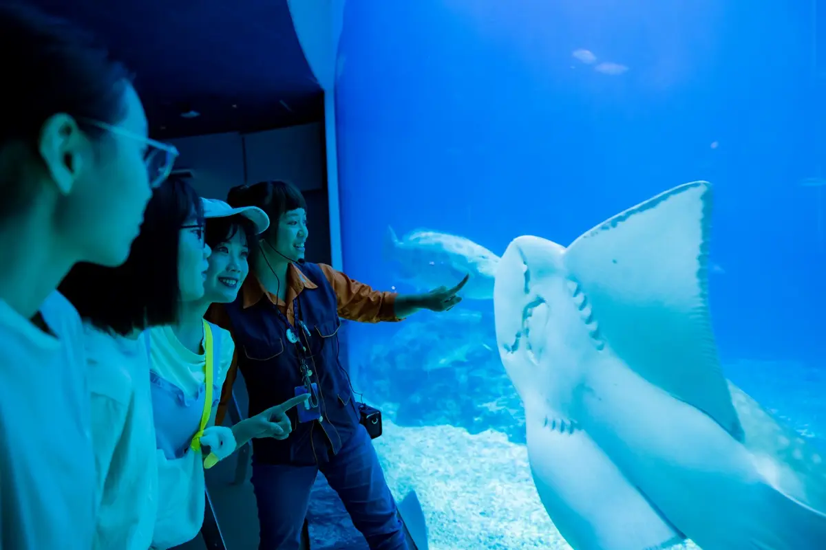 只剩８場！屏東「夜巡海生館」最終時間曝光，夜訪海星、海葵錯過等明年