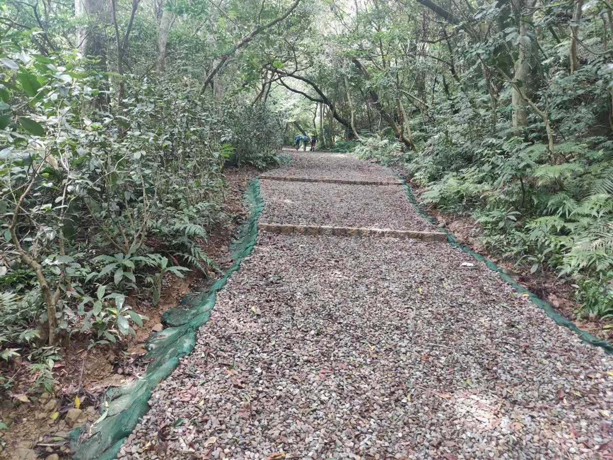 整修後更好走！桃園「石門山小百岳」重新開放，親子出遊輕鬆攻頂、俯瞰街景