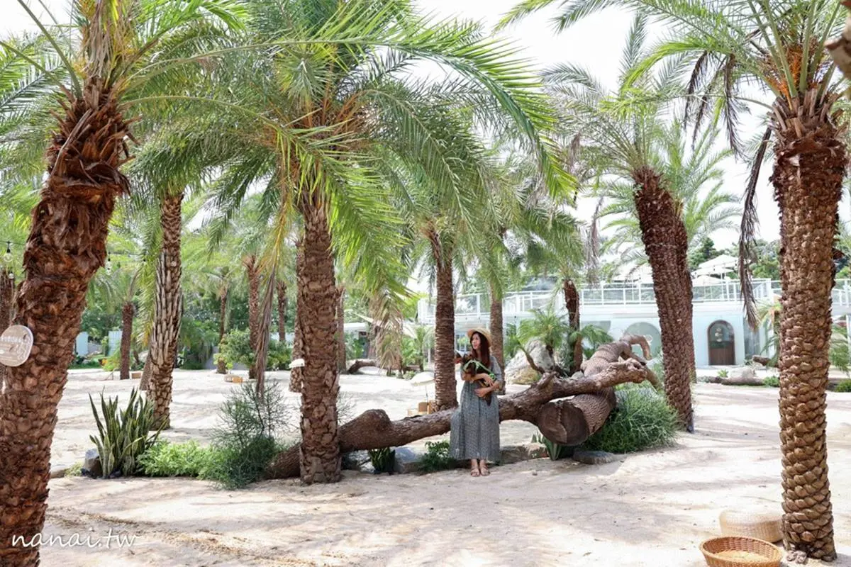 台版「侏儸紀公園」!打卡10處恐龍景點:6萬坪鳥類動物園、恐龍骸骨免費拍 台版「侏儸紀公園」!打卡10處恐龍景點:6萬坪鳥類動物園、恐龍骸骨免費拍