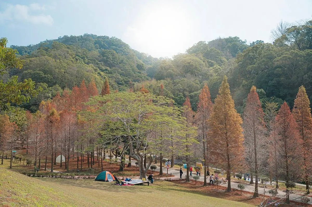秋天最剛好!5大「懶人野餐」景點:森林內吃窯烤披薩、最南端賞海祕境 秋天最剛好!5大「懶人野餐」景點:森林內吃窯烤披薩、最南端賞海祕境