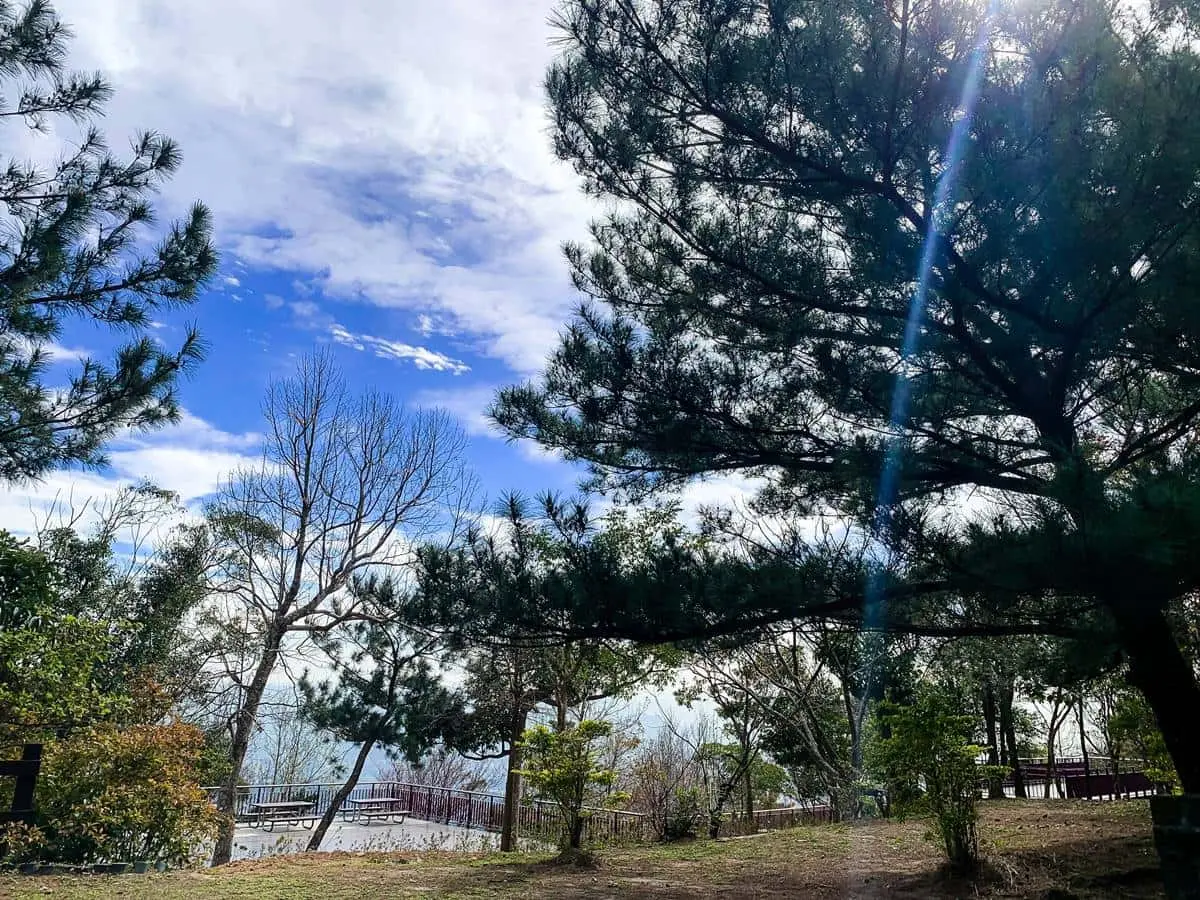 免費露營啦!「森林系露營區」藏台北市區,走「80米空中走廊」遠眺101 免費露營啦!「森林系露營區」藏台北市區,走「80米空中走廊」遠眺101