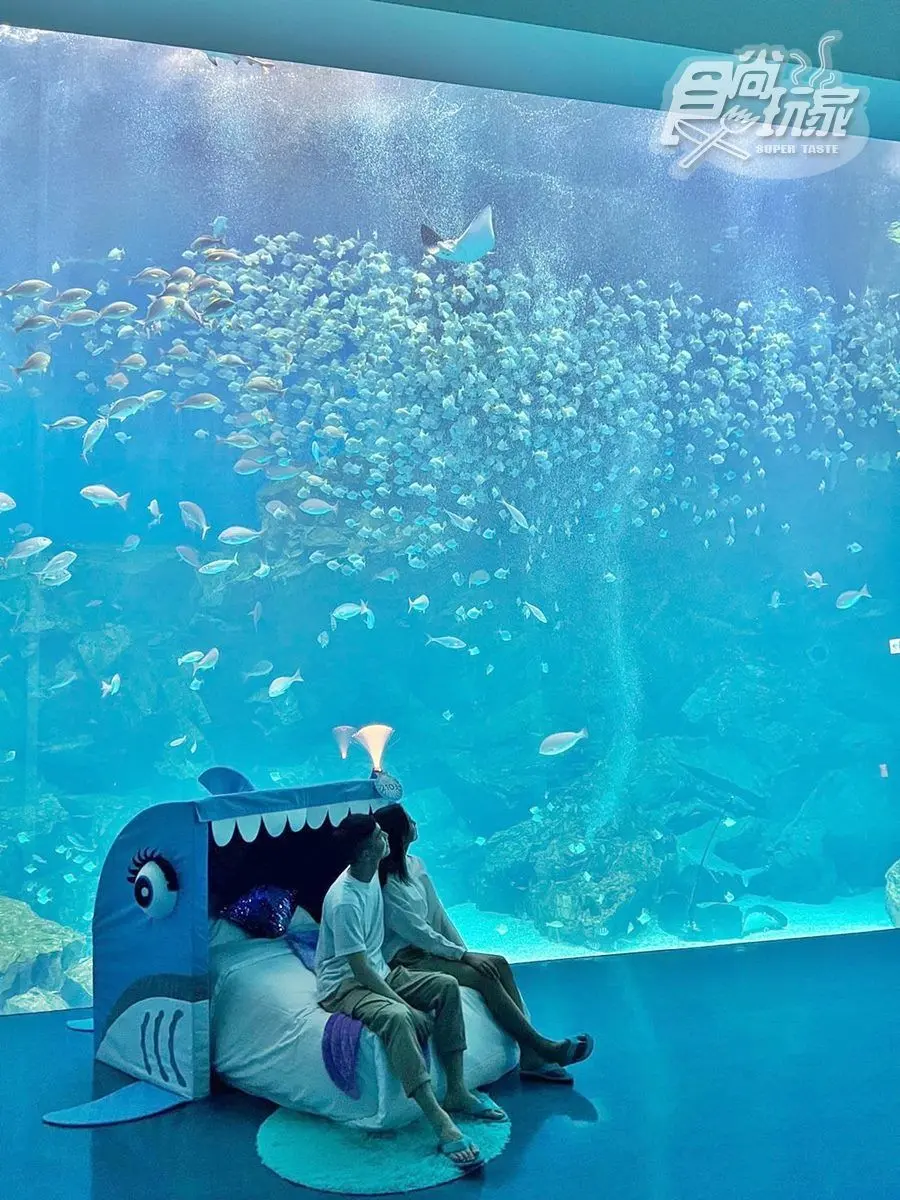 「夜宿水族館床」搬進房！住24小時躺Ｑ版鯊魚打卡，還可免費帶走海洋系周邊