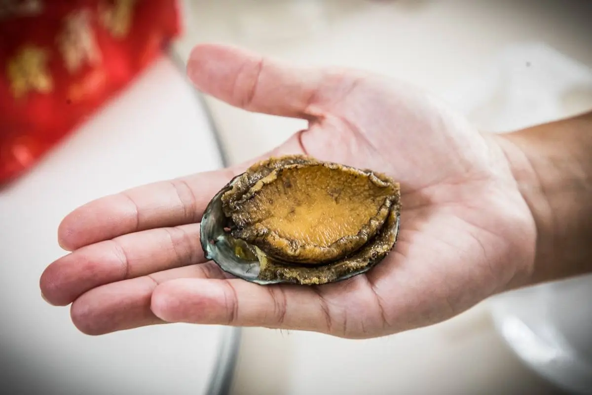 海鮮熱炒也有無菜單!預約制1人最低500元,爽嗑整隻紅蟳米糕、掌心大鮑魚 海鮮熱炒也有無菜單!預約制1人最低500元,爽嗑整隻紅蟳米糕、掌心大鮑魚