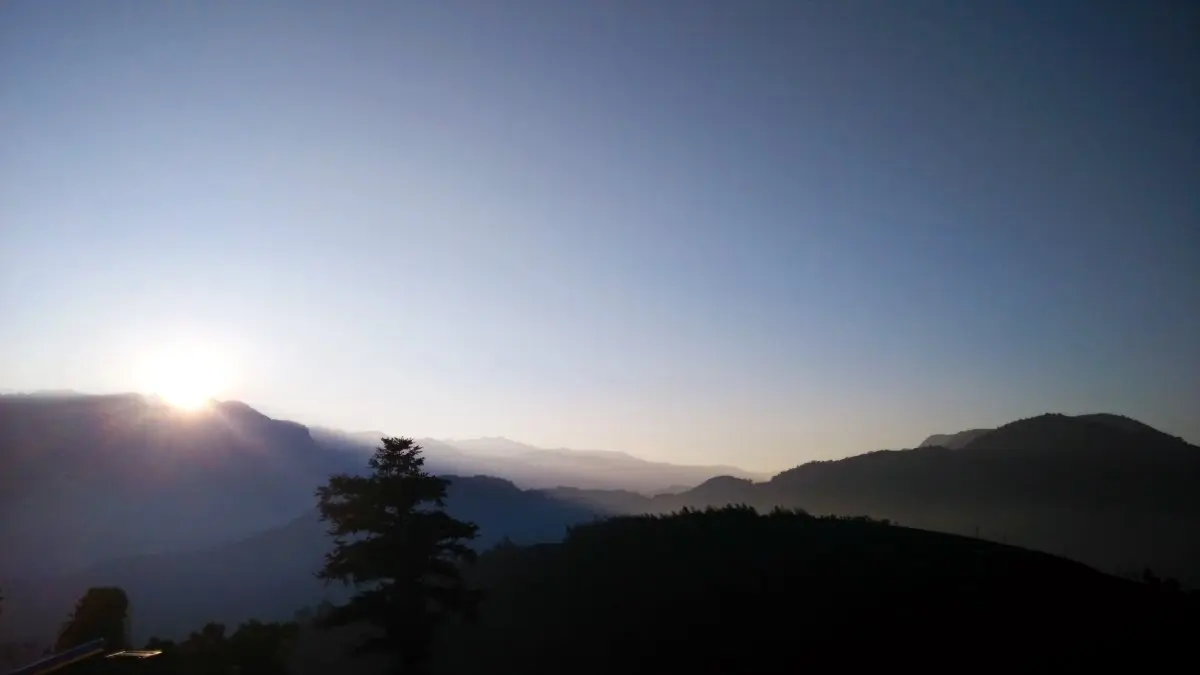 帶毛孩看國慶煙火！嘉義、台南３間寵物友善民宿：日出美景、人氣攝影師也住