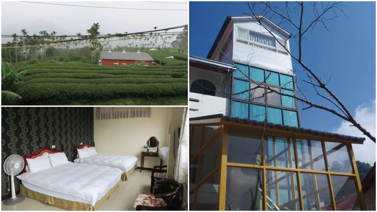 帶毛孩看國慶煙火！嘉義、台南３間寵物友善民宿：日出美景、人氣攝影師也住
