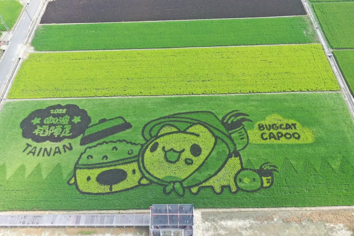 國慶連假衝台南!「貓貓蟲咖波」彩繪稻田萌到爆,加碼小農市集、手作DIY活動 國慶連假衝台南!「貓貓蟲咖波」彩繪稻田萌到爆,加碼小農市集、手作DIY活動