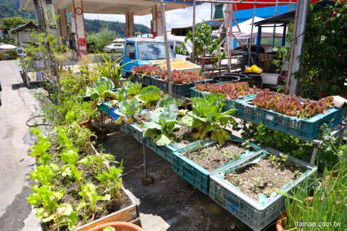 有洋蔥！堅強媽媽「古早味雜貨店」堅守部落，賣雞腿堡、鹹豬肉帶給族人幸福