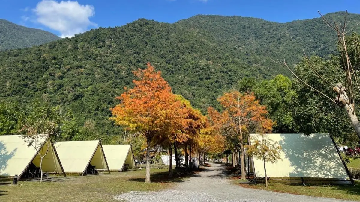 入秋露營去！７大特色營地推薦：住１晚800元有找、落羽松＋雲海美景一次收