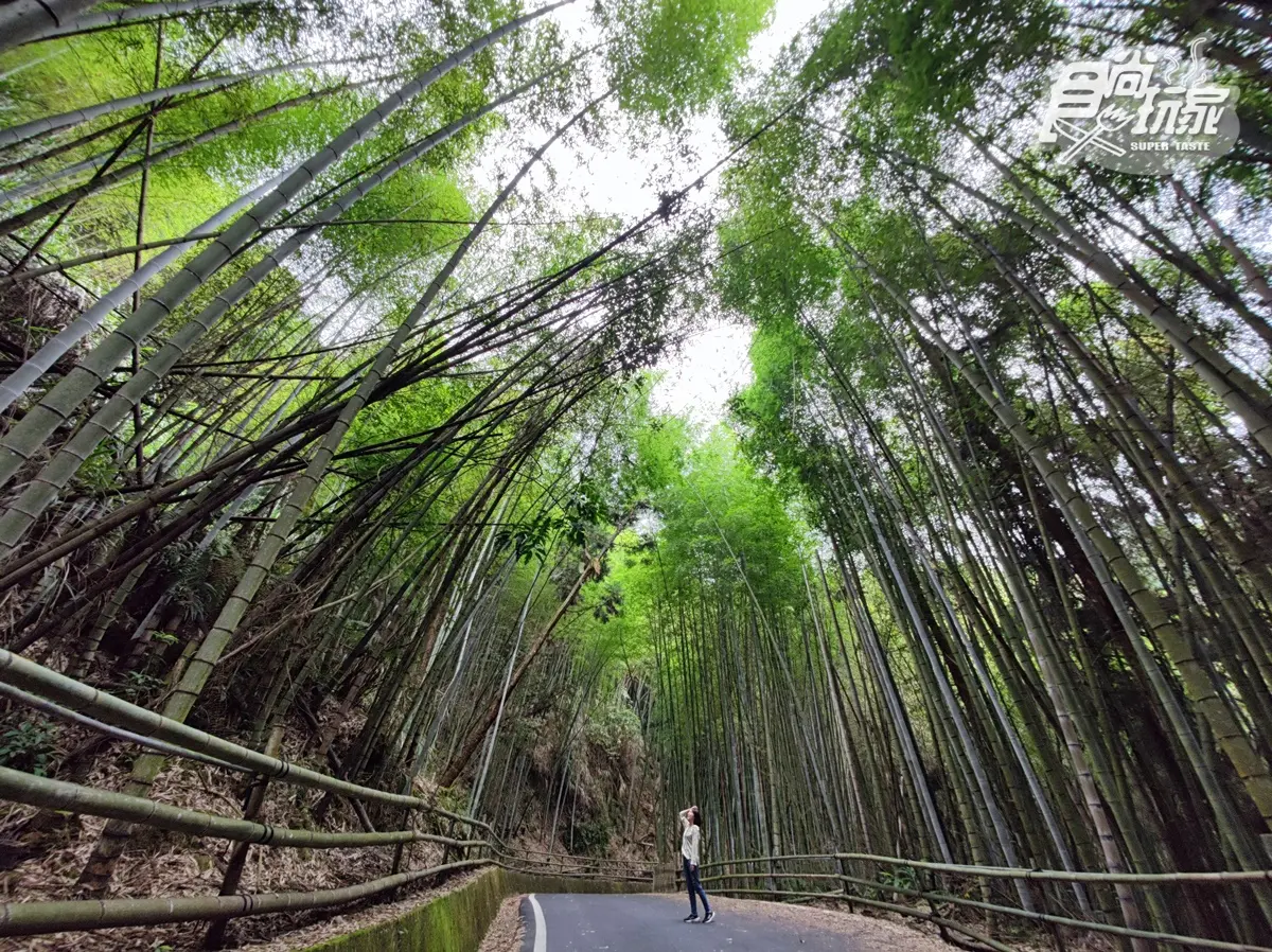 雲海祕境、台版嵐山!16景點玩翻古坑,台灣咖啡節3天2夜最強攻略 雲海祕境、台版嵐山!16景點玩翻古坑,台灣咖啡節3天2夜最強攻略