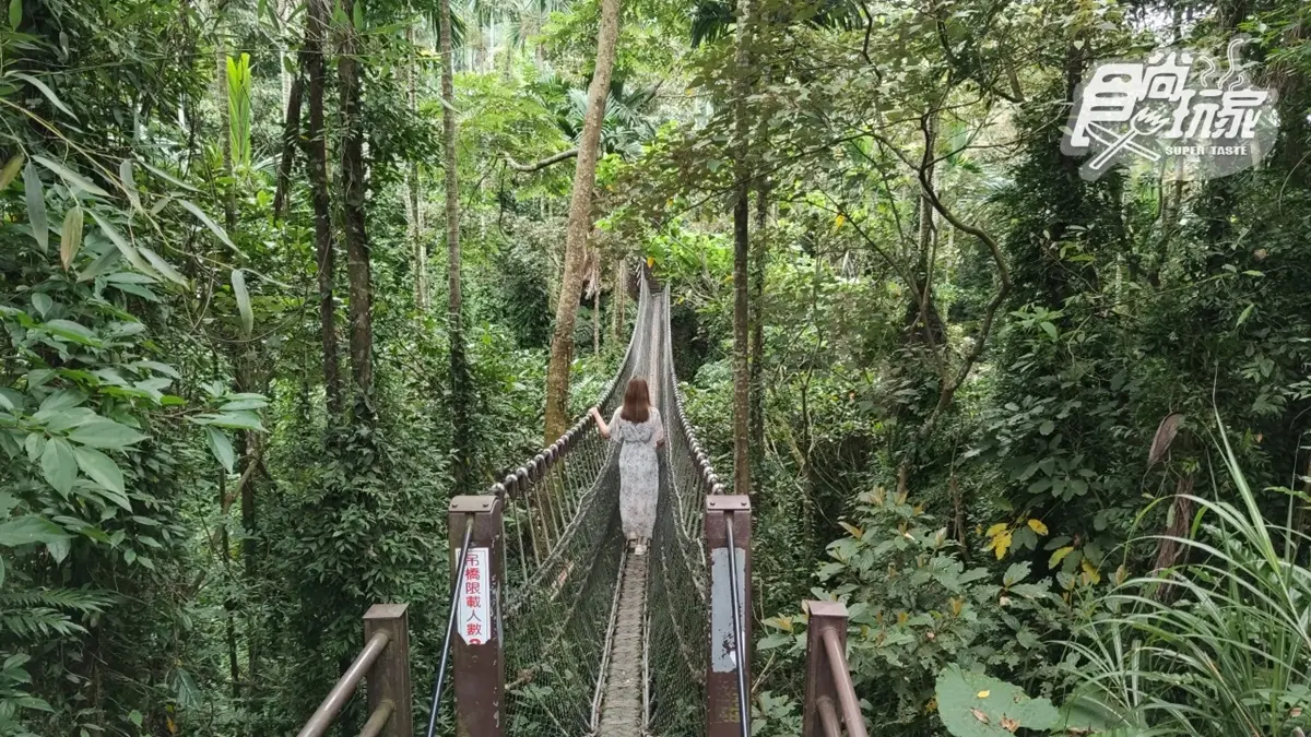雲海祕境、台版嵐山！16景點玩翻古坑，台灣咖啡節３天２夜最強攻略