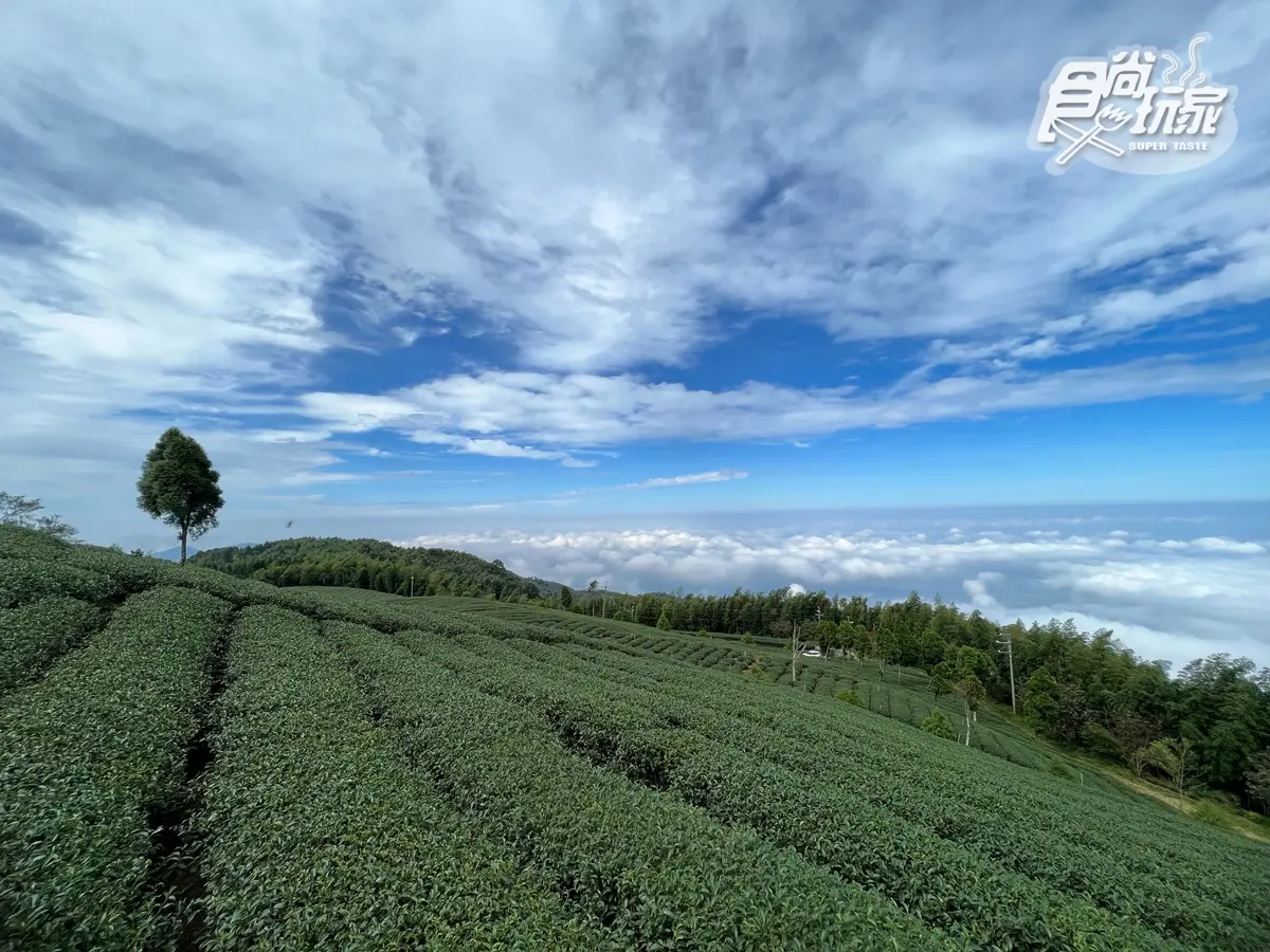 雲海祕境、台版嵐山！16景點玩翻古坑，台灣咖啡節３天２夜最強攻略