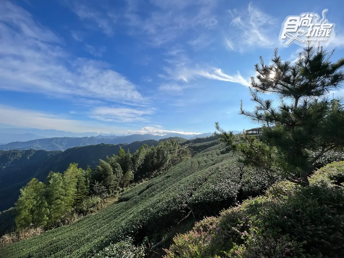 雲海祕境、台版嵐山！16景點玩翻古坑，台灣咖啡節３天２夜最強攻略