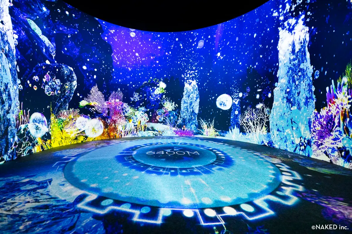 日本最好拍「光之影海洋展」登台!走進海底隧道+小白鯨出沒,8展區搶先看 日本最好拍「光之影海洋展」登台!走進海底隧道+小白鯨出沒,8展區搶先看