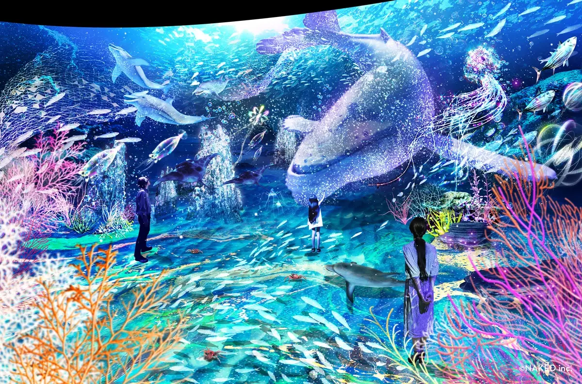 日本最好拍「光之影海洋展」登台!走進海底隧道+小白鯨出沒,8展區搶先看 日本最好拍「光之影海洋展」登台!走進海底隧道+小白鯨出沒,8展區搶先看
