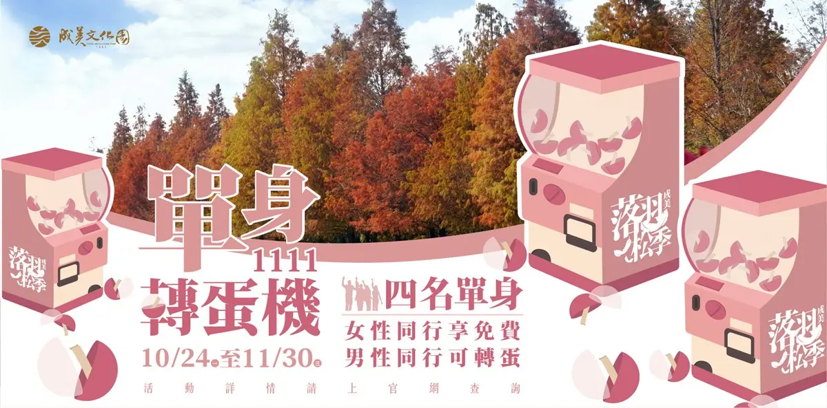 上百棵落羽松美翻！「台版兼六園」落羽松季到明年２月，４女同行免費入園