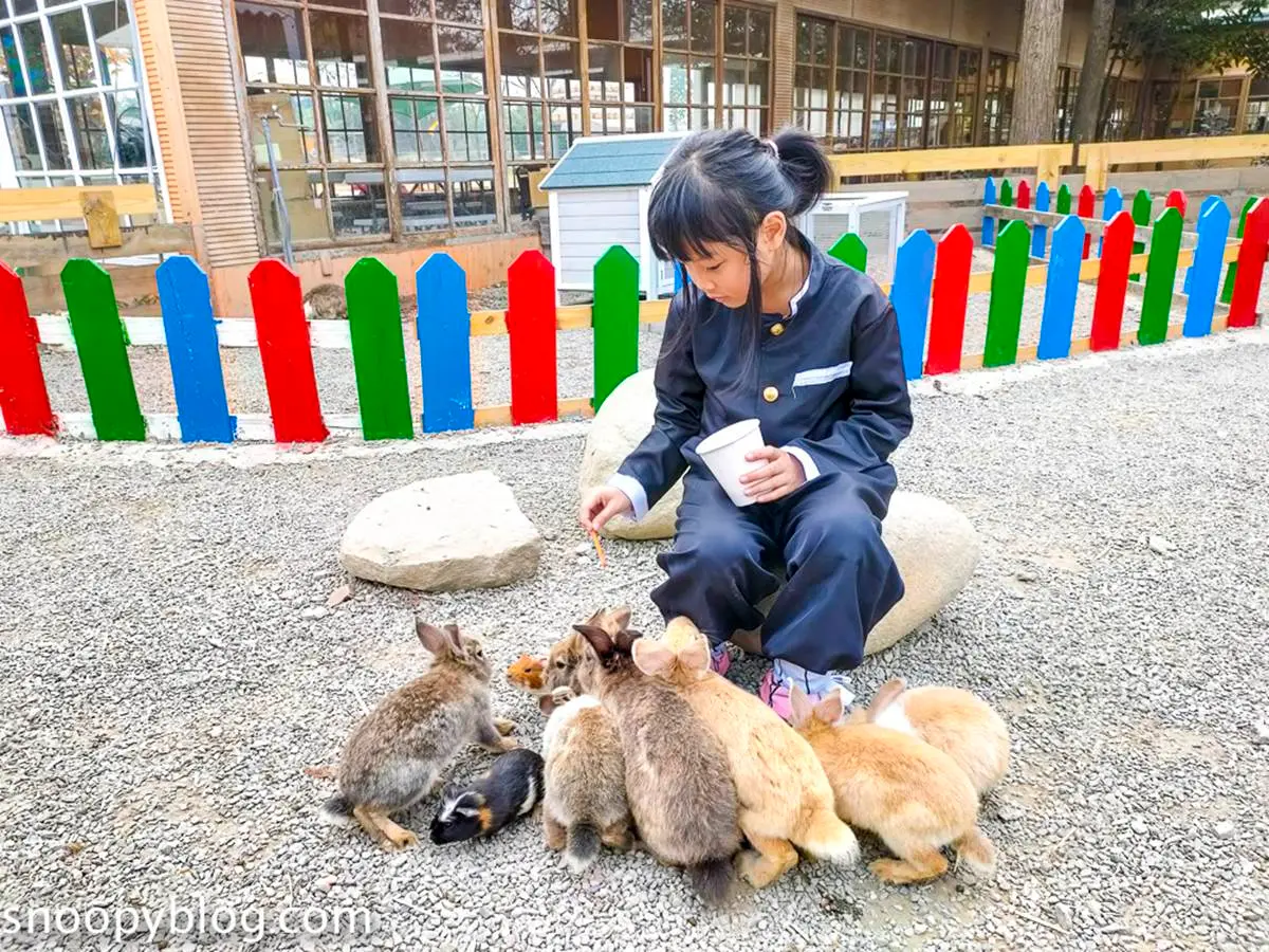 雲林１日遊最強攻略！古坑必訪７亮點：麝香木花海大爆發、全台唯一地球廟