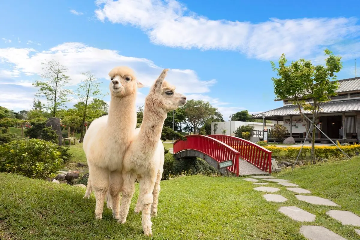 只有4天!全台最大旅展6家必搶好康,1折住飯店、免費泡湯、拿10次吃到飽 只有4天!全台最大旅展6家必搶好康,1折住飯店、免費泡湯、拿10次吃到飽