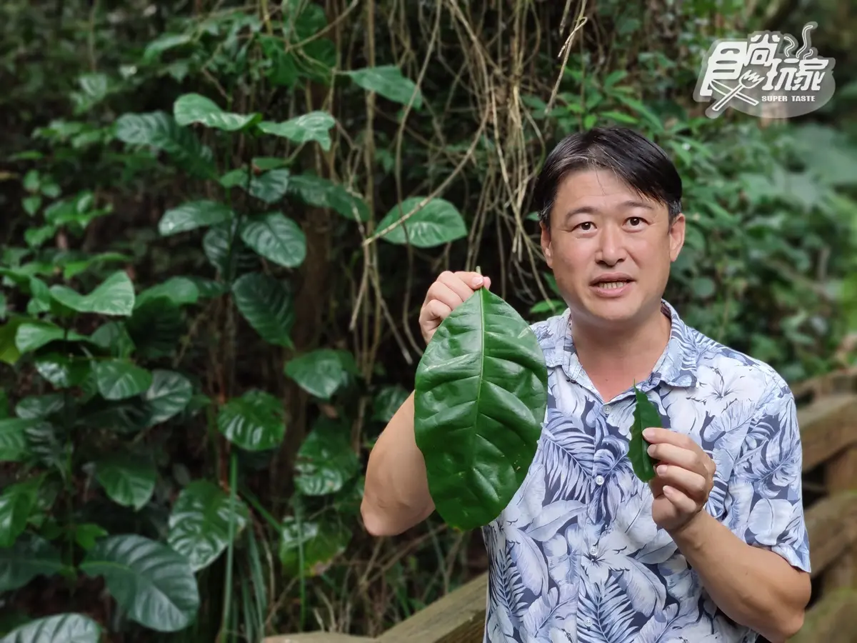 這樣喝也可以！火焰咖啡、沾麵拿鐵鍋太吸睛，古坑話題咖啡館必去這８家