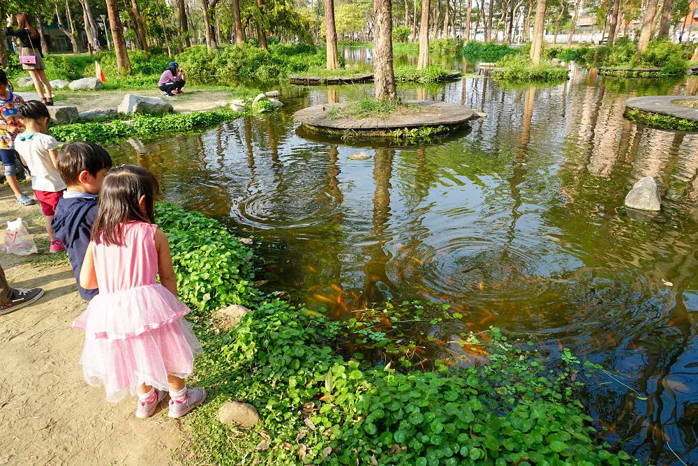 高雄最美公園！鳳山版「忘憂森林」出捷運就到，９公頃「綠色仙境」IG必打卡