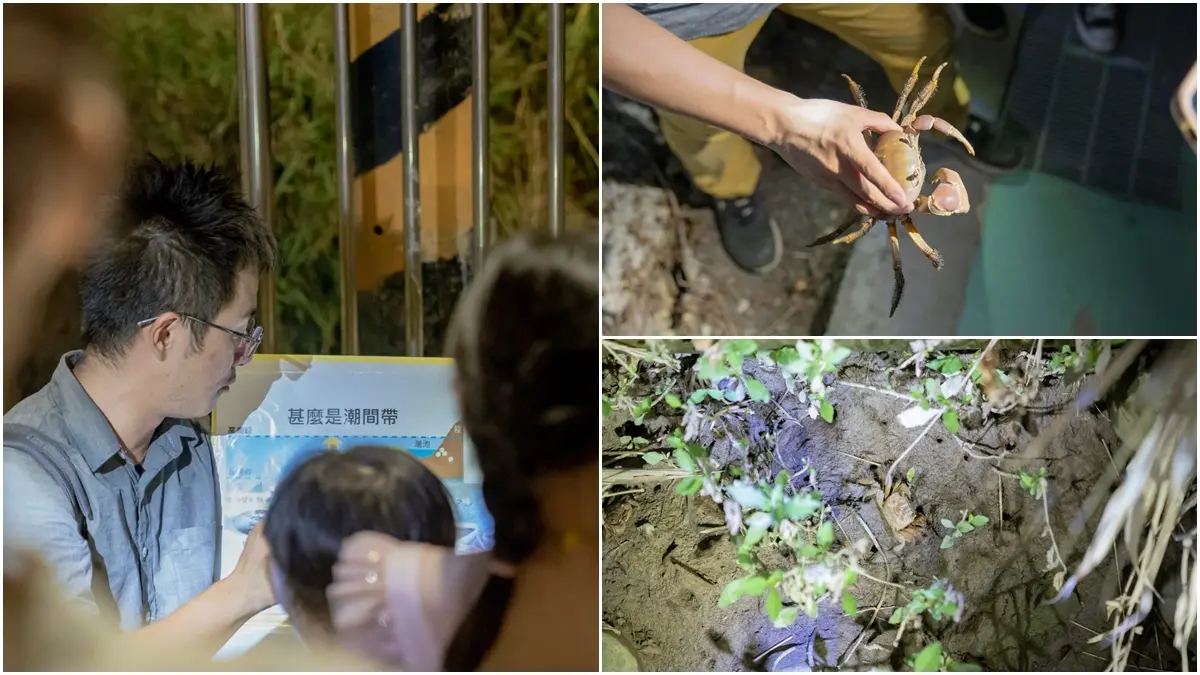 【新開店】高美濕地也能露營!免搭帳住粉嫩蓮花帳,吃晚餐再賞全台最美夕照 【新開店】高美濕地也能露營!免搭帳住粉嫩蓮花帳,吃晚餐再賞全台最美夕照