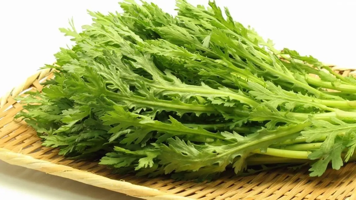火鍋最搭哪種蔬菜?網友點名水蓮、高麗菜,「這款」冬季限定穩坐第1 火鍋最搭哪種蔬菜?網友點名水蓮、高麗菜,「這款」冬季限定穩坐第1