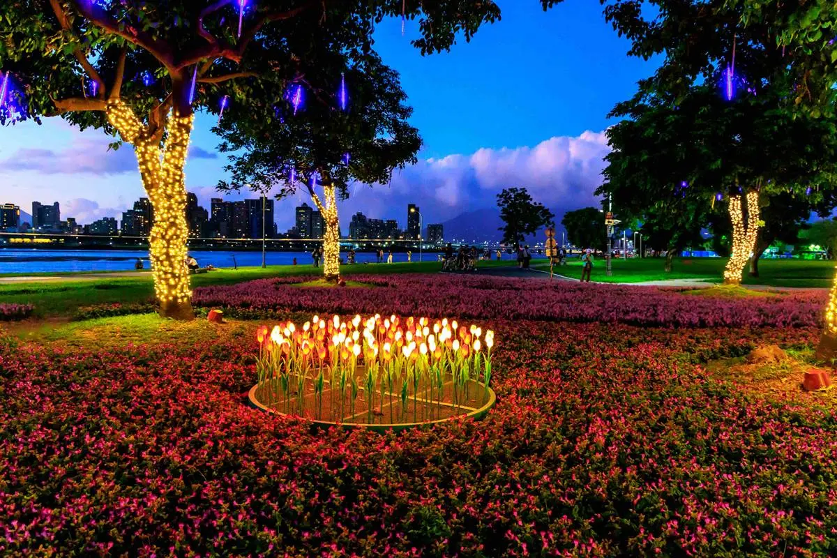 ８萬盆「七彩漸層花海」美到炸！耶誕節前衝大稻埕河濱公園，入夜點燈更浪漫