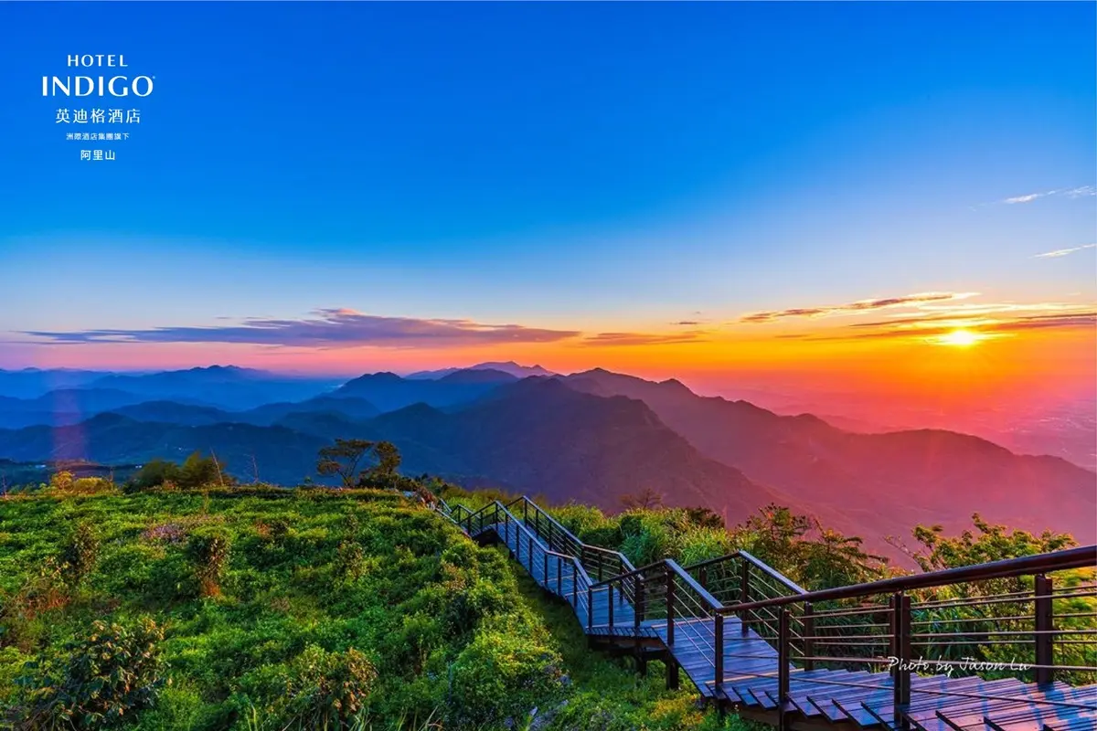 躺床就能拍日出雲海!全台最美森林系房型曝光,阿里山英迪格大面窗景超好拍 躺床就能拍日出雲海!全台最美森林系房型曝光,阿里山英迪格大面窗景超好拍