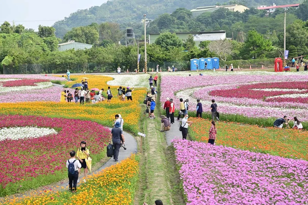 神祕幽浮、外星人出沒花田!「2022桃園花彩節」11/20前快衝,搶拍7米高太空梭 神祕幽浮、外星人出沒花田!「2022桃園花彩節」11/20前快衝,搶拍7米高太空梭