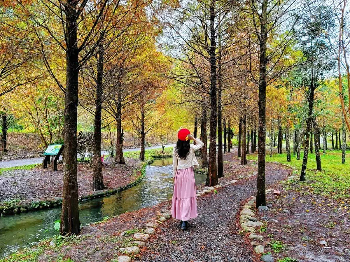 快上網搶訂入園!宜蘭暴紅「落羽松祕境」再開放,9層疊瀑+漸層落羽松美炸 快上網搶訂入園!宜蘭暴紅「落羽松祕境」再開放,9層疊瀑+漸層落羽松美炸