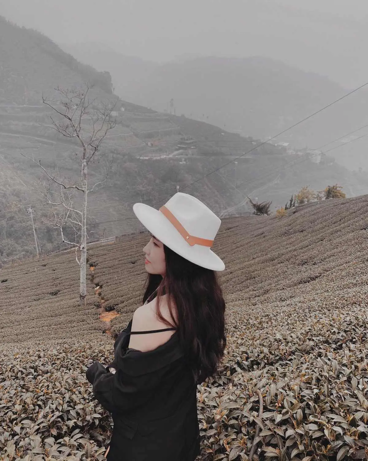 別只去阿里山！嘉義梅山12大祕境：最美茶園步道、台版九寨溝、海拔最高吊橋