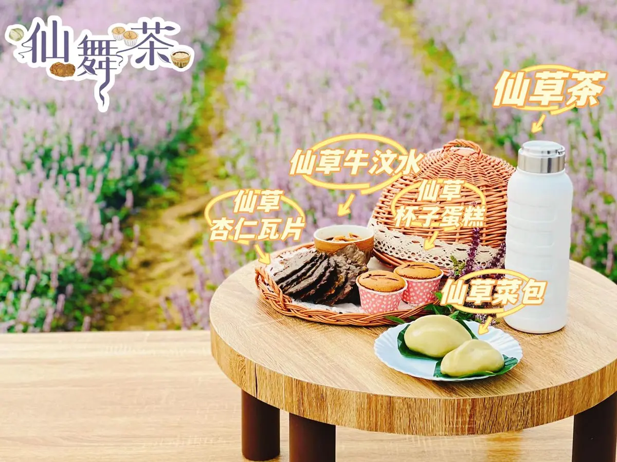 ５公頃粉紫花海大爆發！「2022桃園仙草花節」連15天開跑，宛如普羅旺斯花園